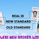 New Driver’s License Renewals in Kentucky Latest Requirements and Rules for Drivers