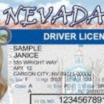 New Driver’s License Renewals in Nevada Latest Requirements and Rules for Drivers