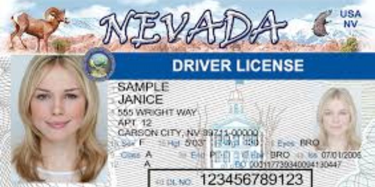 New Driver’s License Renewals in Nevada Latest Requirements and Rules for Drivers