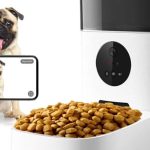 Understanding America’s New Pet Feeder Law What It Means for Your Pet Care Routine