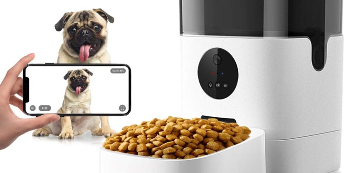 Understanding America’s New Pet Feeder Law What It Means for Your Pet Care Routine